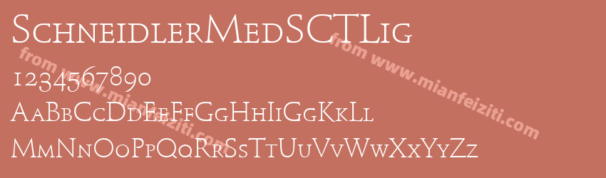 Schneidler MedSCT Ligh预览图1