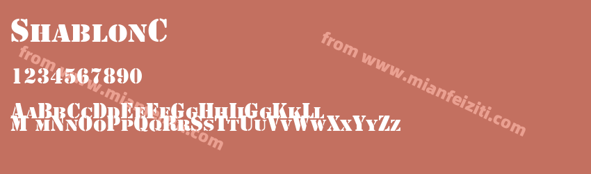 ShablonCTT预览图1