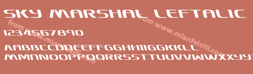 Sky Marshal Leftalic预览图1