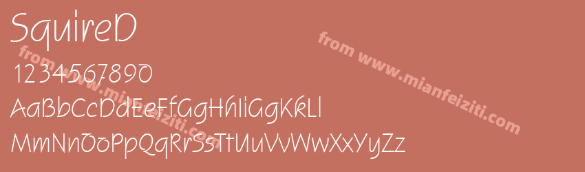 SquireD Regu预览图1