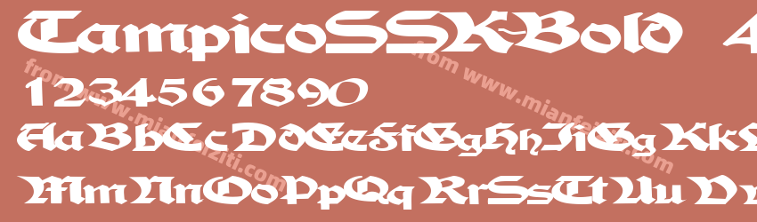 TampicoSSK Bold_43475预览图1