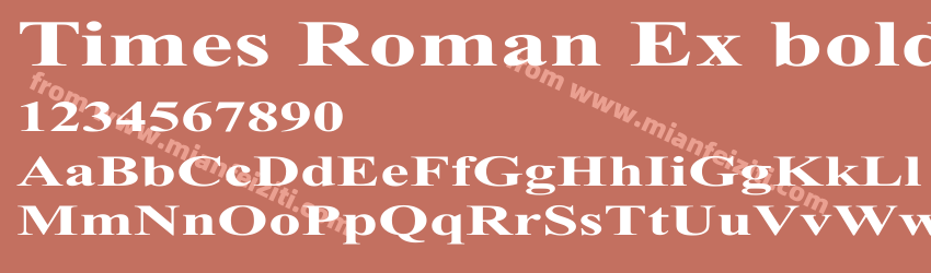 Times Roman Ex Bold预览图1