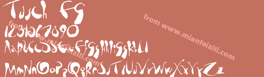 Tusch FG预览图1