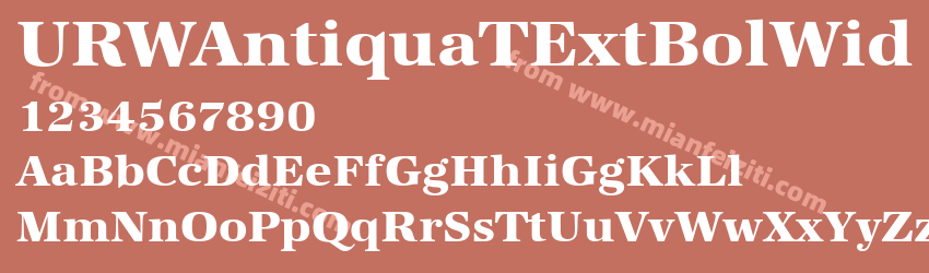 URW AntiquaT Extr Bold Wide预览图1