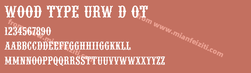 Wood TypeURWDOT Regular预览图1