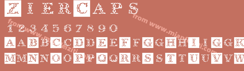 Zier Caps预览图1