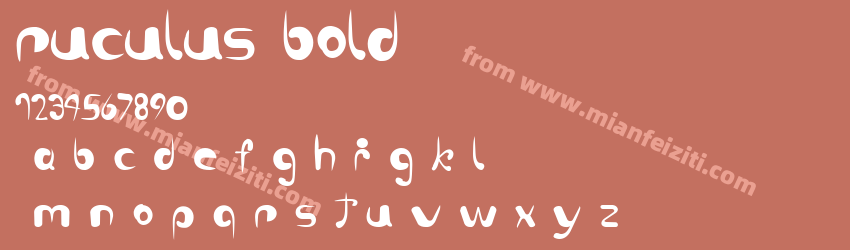 ruculus bold Bold预览图1