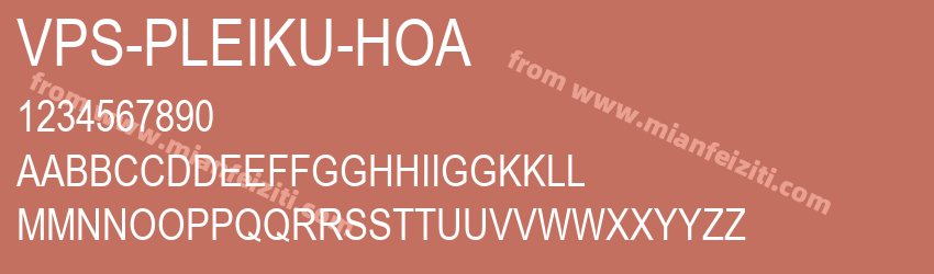 VPS Pleiku Hoa预览图1