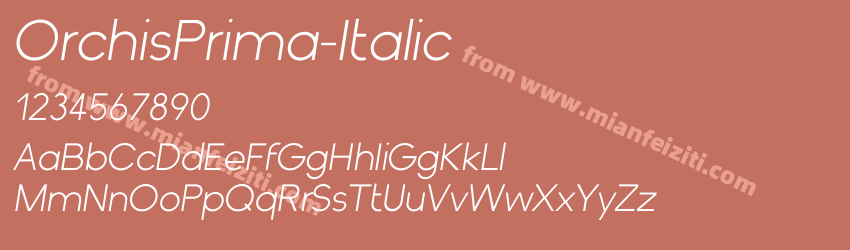 Orchis Prima Italic预览图1