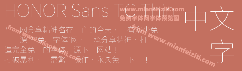 HONOR Sans TC Thin预览图1