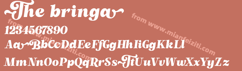 The bringa Regular预览图1