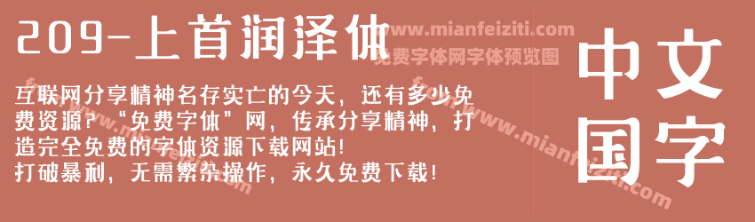 209-上首润泽体预览图1
