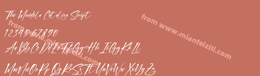 The Mondela Catalisa Script预览图1