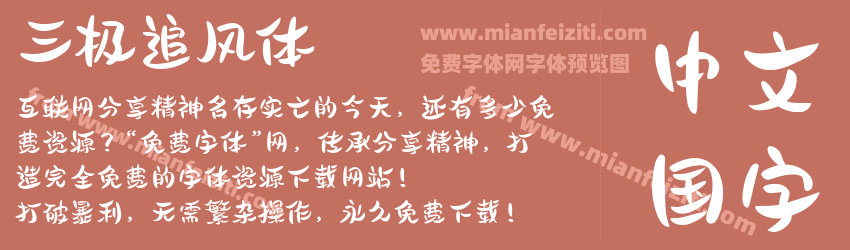 三极追风体预览图1