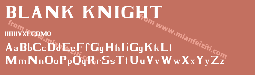 BLACK KNIGHT Regular预览图1