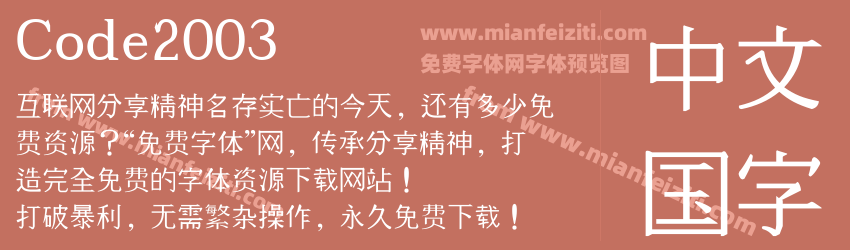 Code2003预览图1