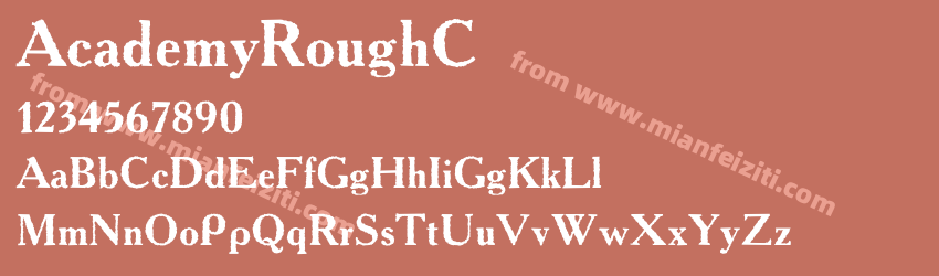 Academy RoughC预览图1