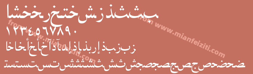 Arabic NaskhSSK预览图1
