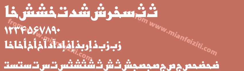 Basra PersianTT Bold预览图1
