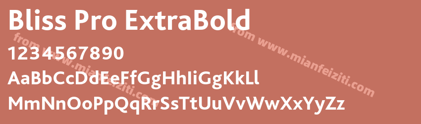 Bliss Pro Extra Bold预览图1