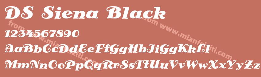 DS Siena Black预览图1