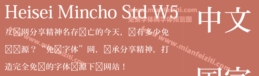 Heisei Mincho Std W5预览图1