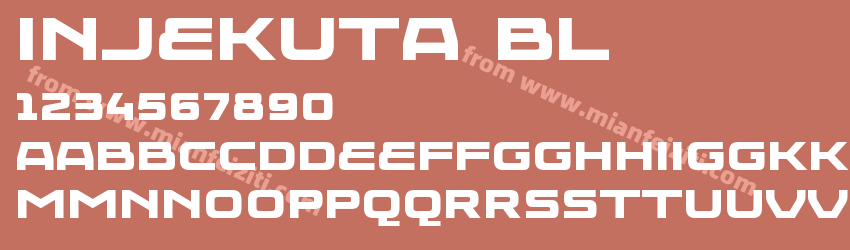 Injekuta Bl Regular预览图1