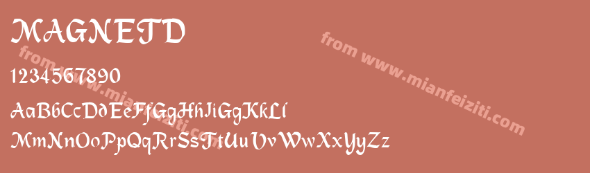 MAGNETD Regular预览图1