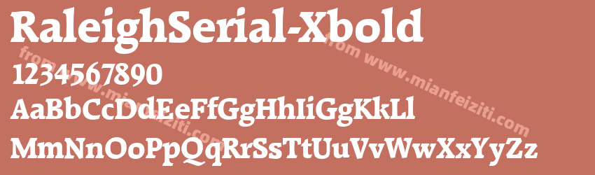 Raleigh Serial Xbold Regular预览图1