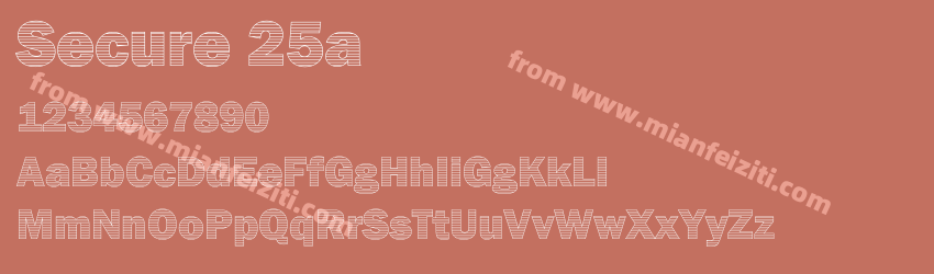 Secure 25a预览图1