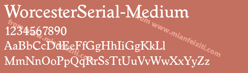 Worcester Serial Medium Regular预览图1