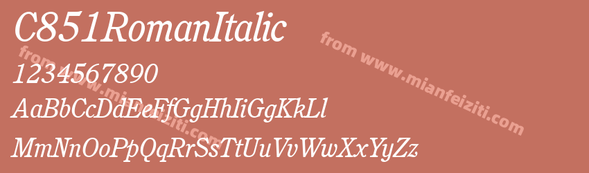 C851 Roman Italic预览图1
