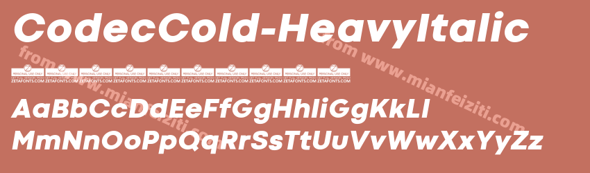 Codec Cold Heavy Italic预览图1