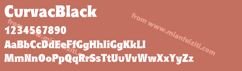 Curvac Black Regular预览图1