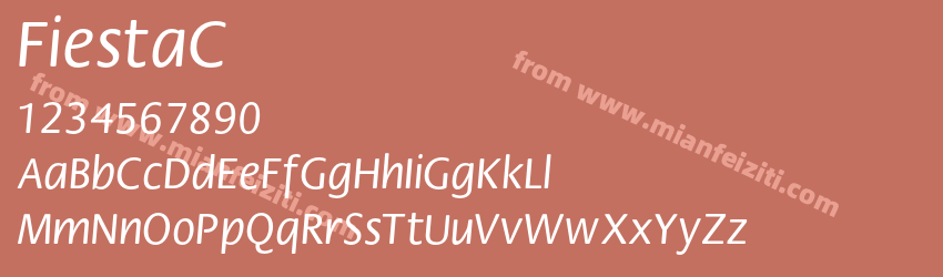 FiestaC预览图1