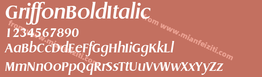 Griffon Bold Italic预览图1