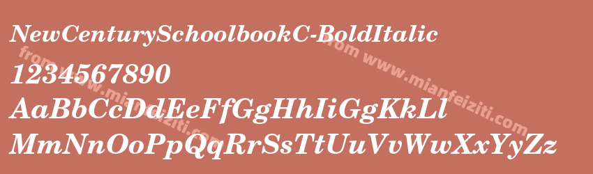 New Century SchoolbookC Bold Italic预览图1