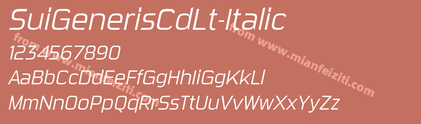 Sui Generis Cd Lt Italic预览图1