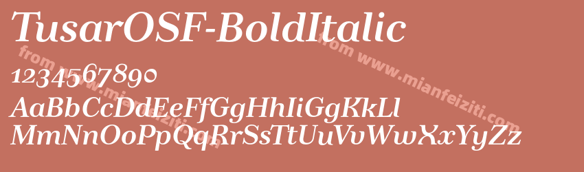 TusarOSF Bold Italic预览图1