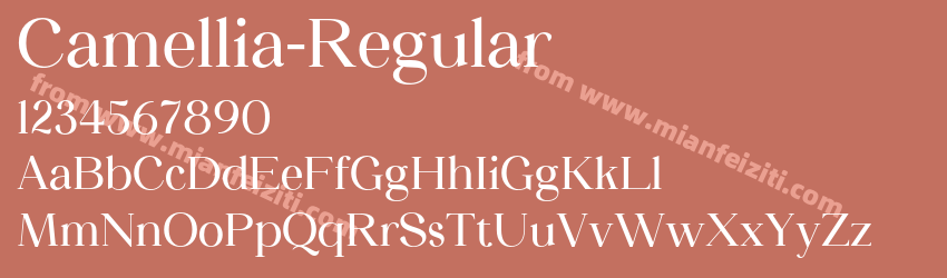 Camellia Regular预览图1