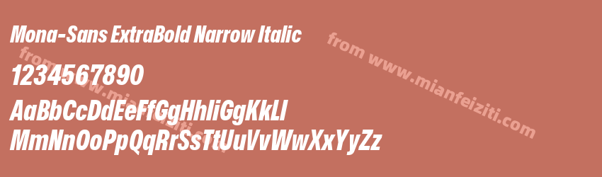 Mona Sans Extra Bold Narrow Italic字体预览