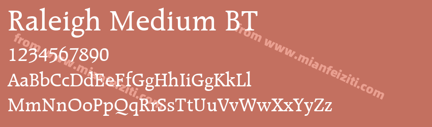 Raleigh Medium BT预览图1