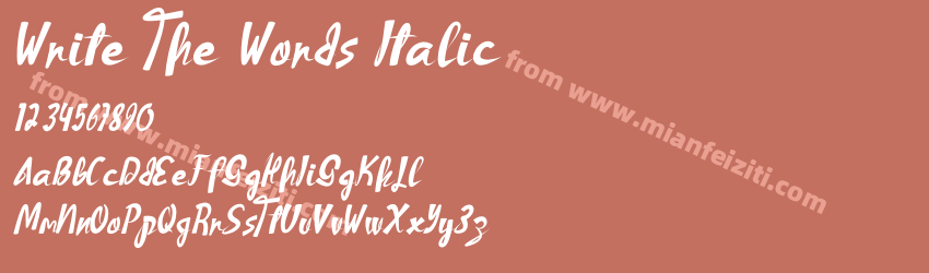 Write The Words Italic预览图1