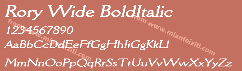 Rory Wide Bold Italic预览图1