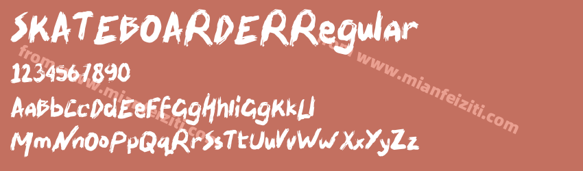SKATEBOARDER Regular预览图1