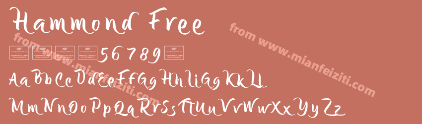 Hammond Free预览图1