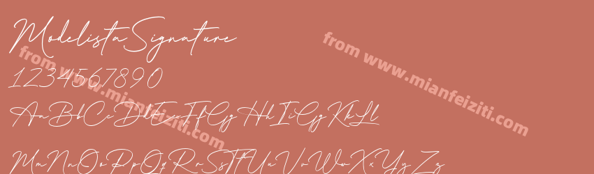 Modelista Signature预览图1