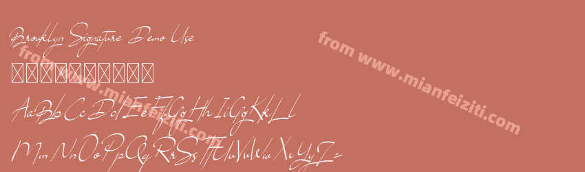 Brouklyn Signature Demo Use预览图1