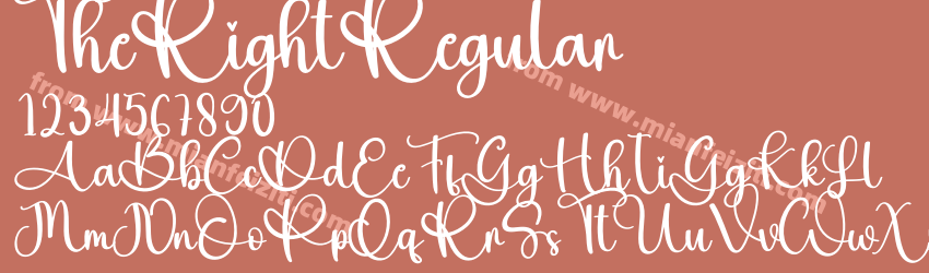 The Right Regular预览图1