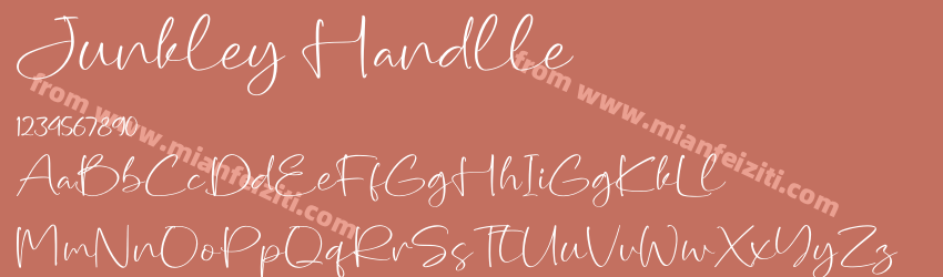 Junkley Handlle预览图1
